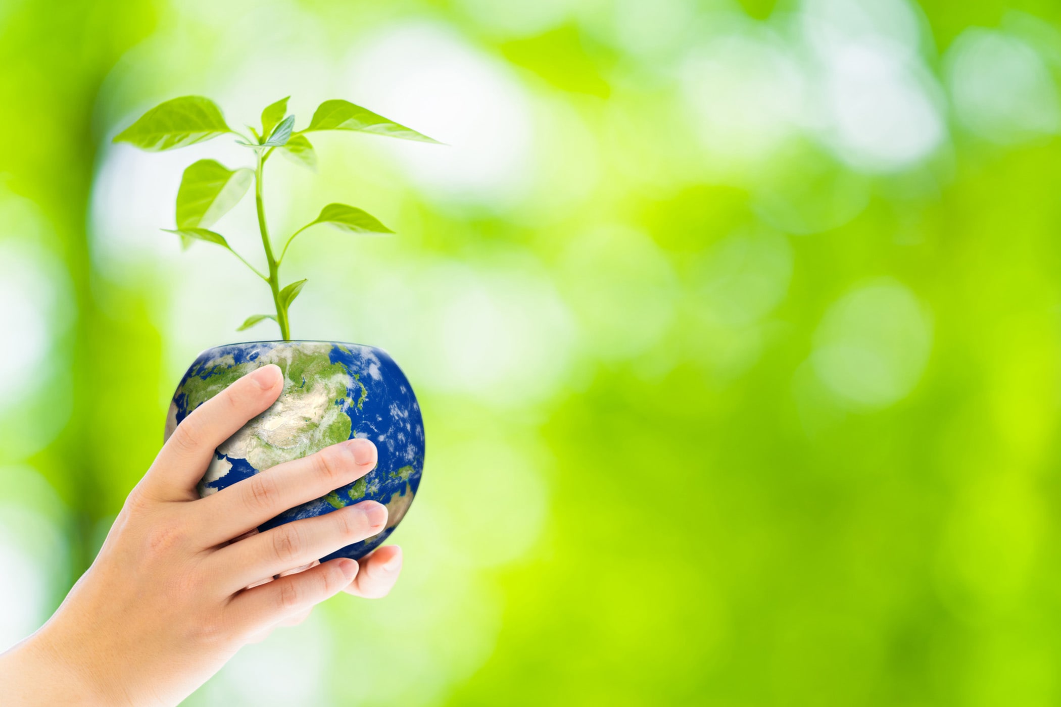 地球の植木鉢を持つ手