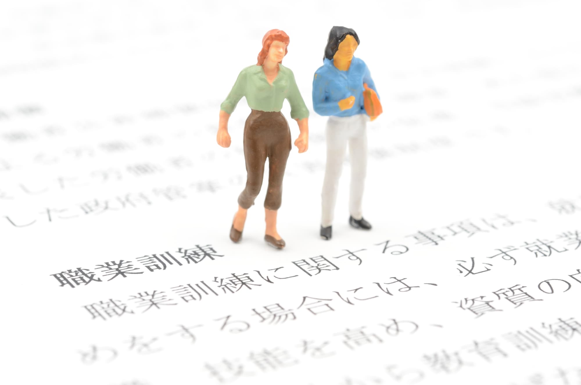 職業訓練の説明文と男女の模型