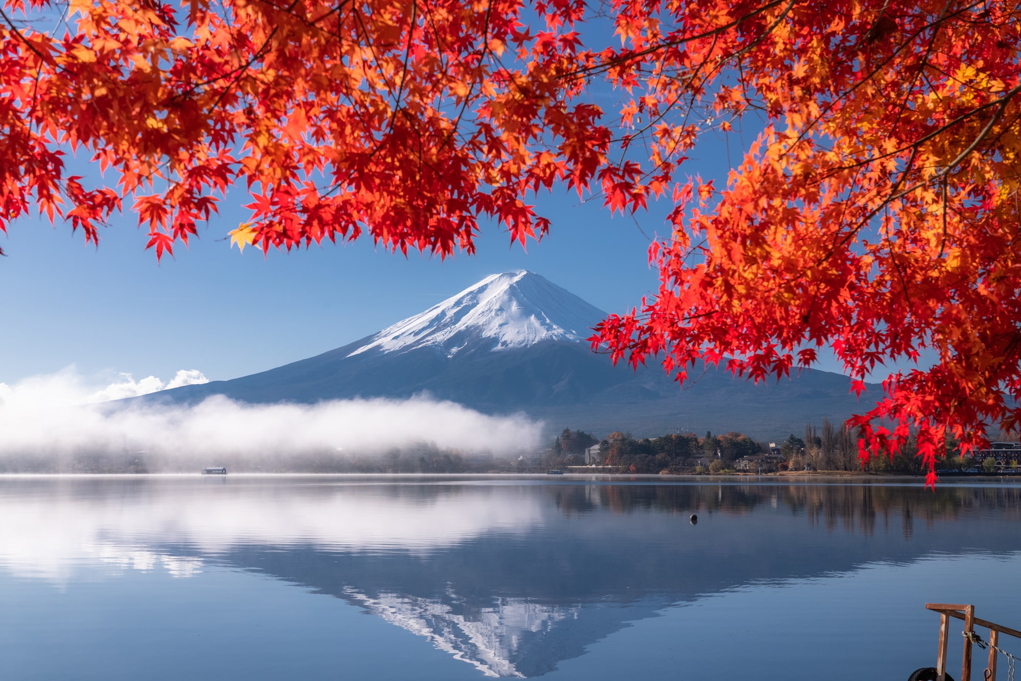 紅葉と富士山