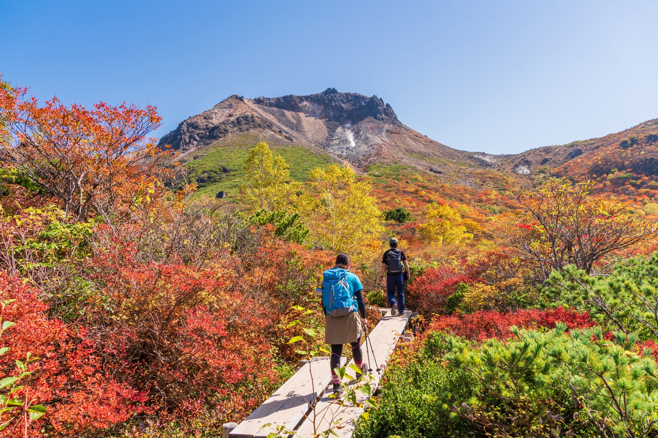 紅葉狩りの楽しみ方を紹介