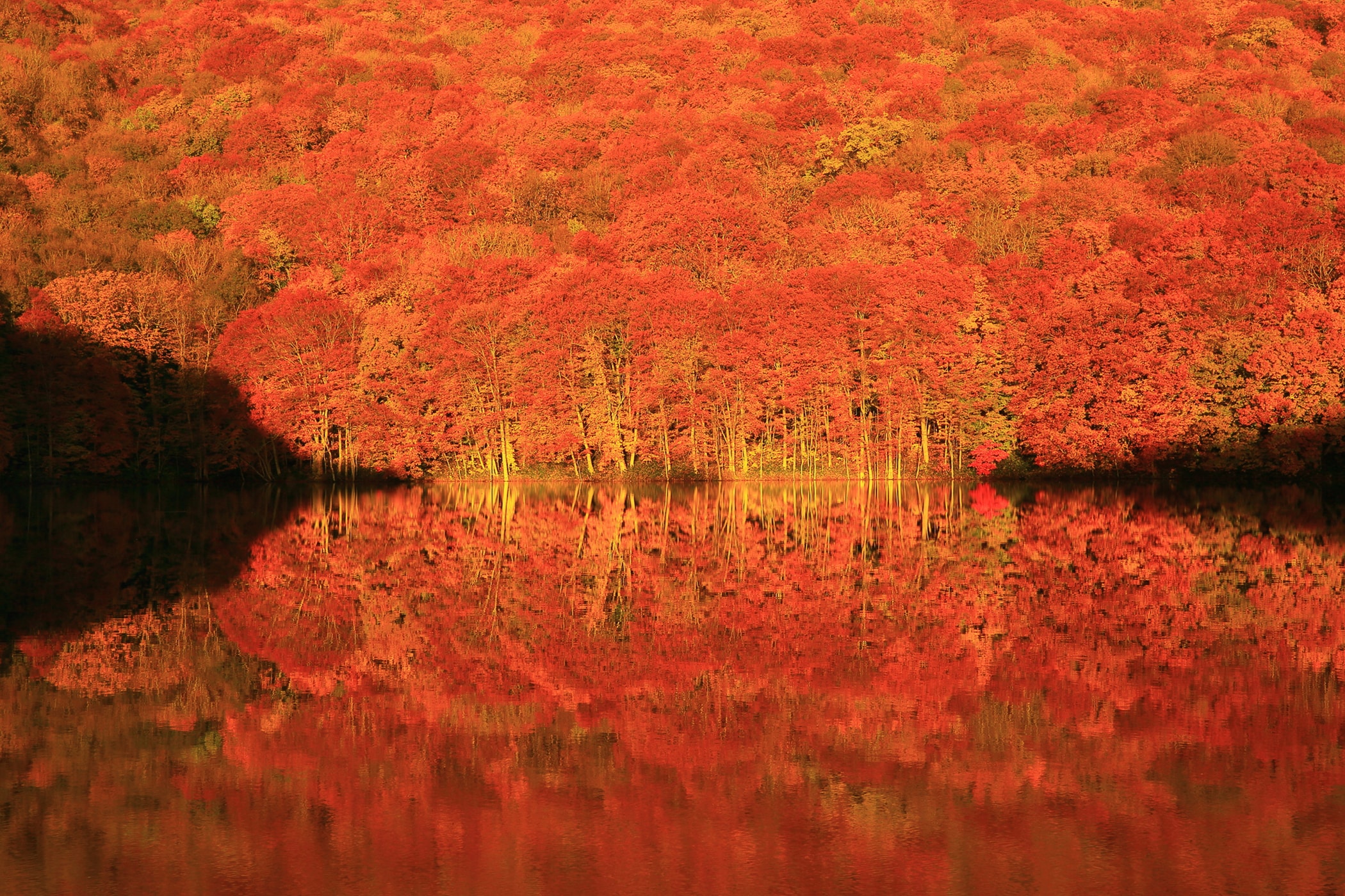 蔦沼（つたぬま）の紅葉／青森県十和田市