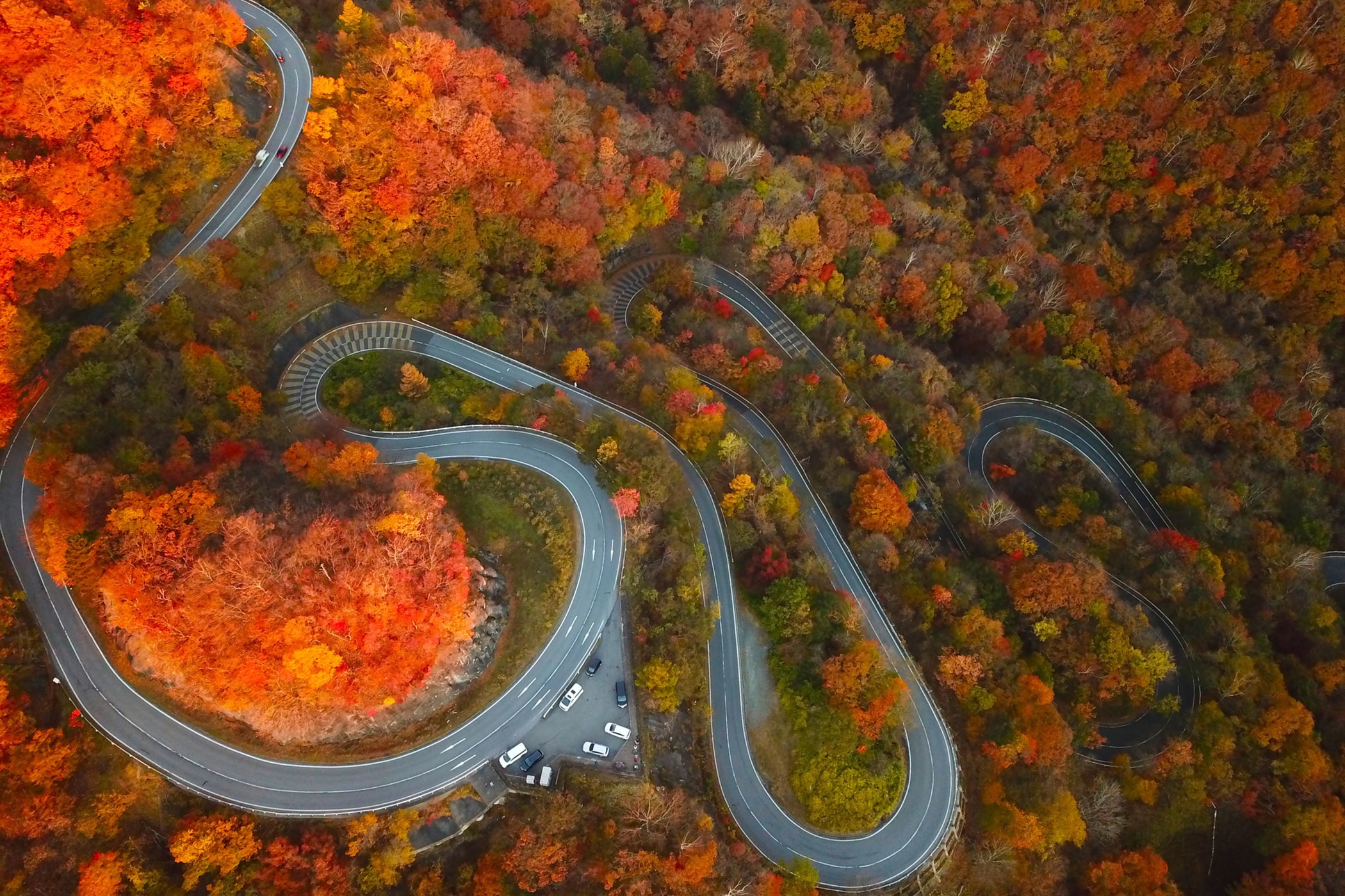 いろは坂の紅葉／栃木県日光市