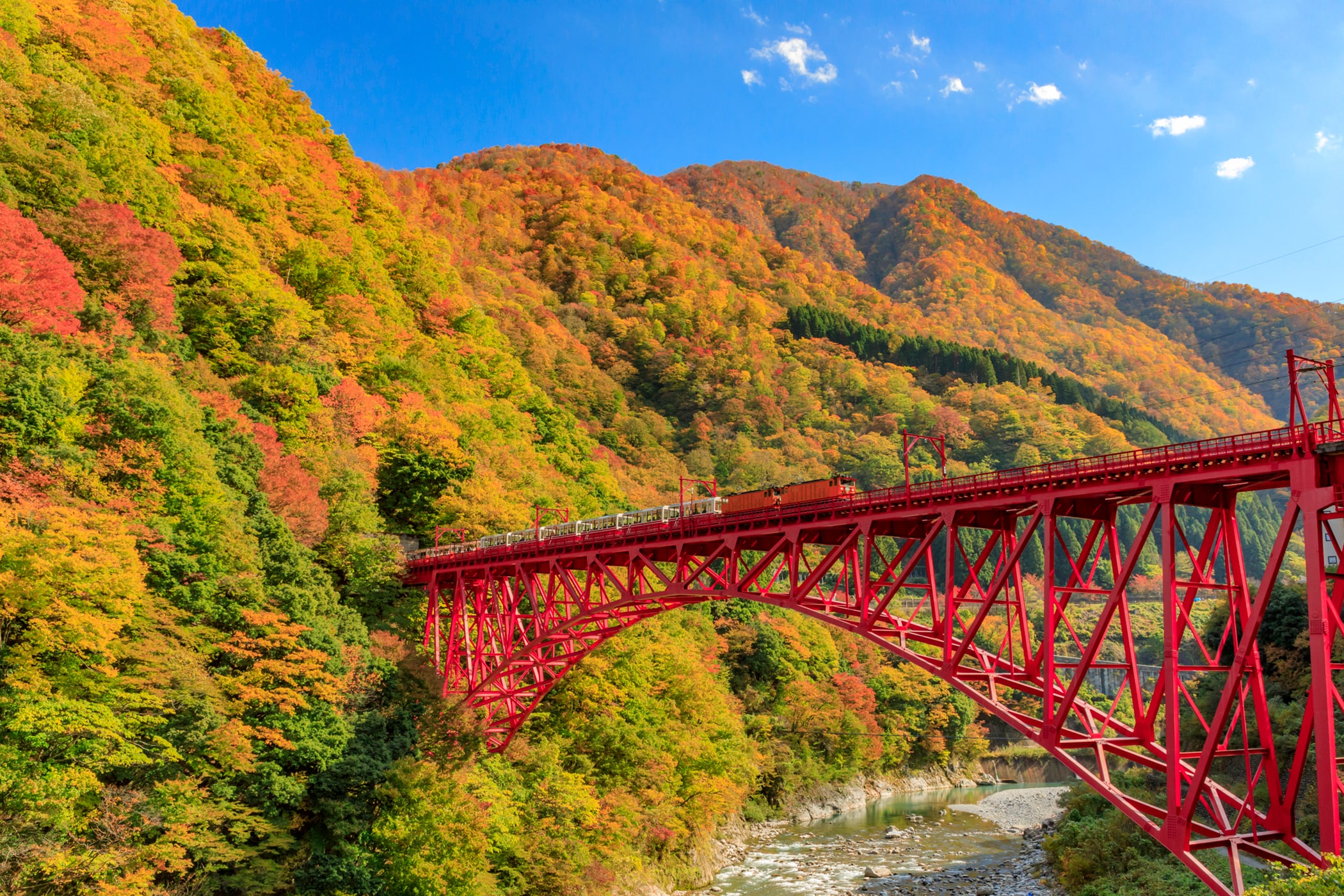 黒部渓谷トロッコ電車の紅葉／富山県黒部市