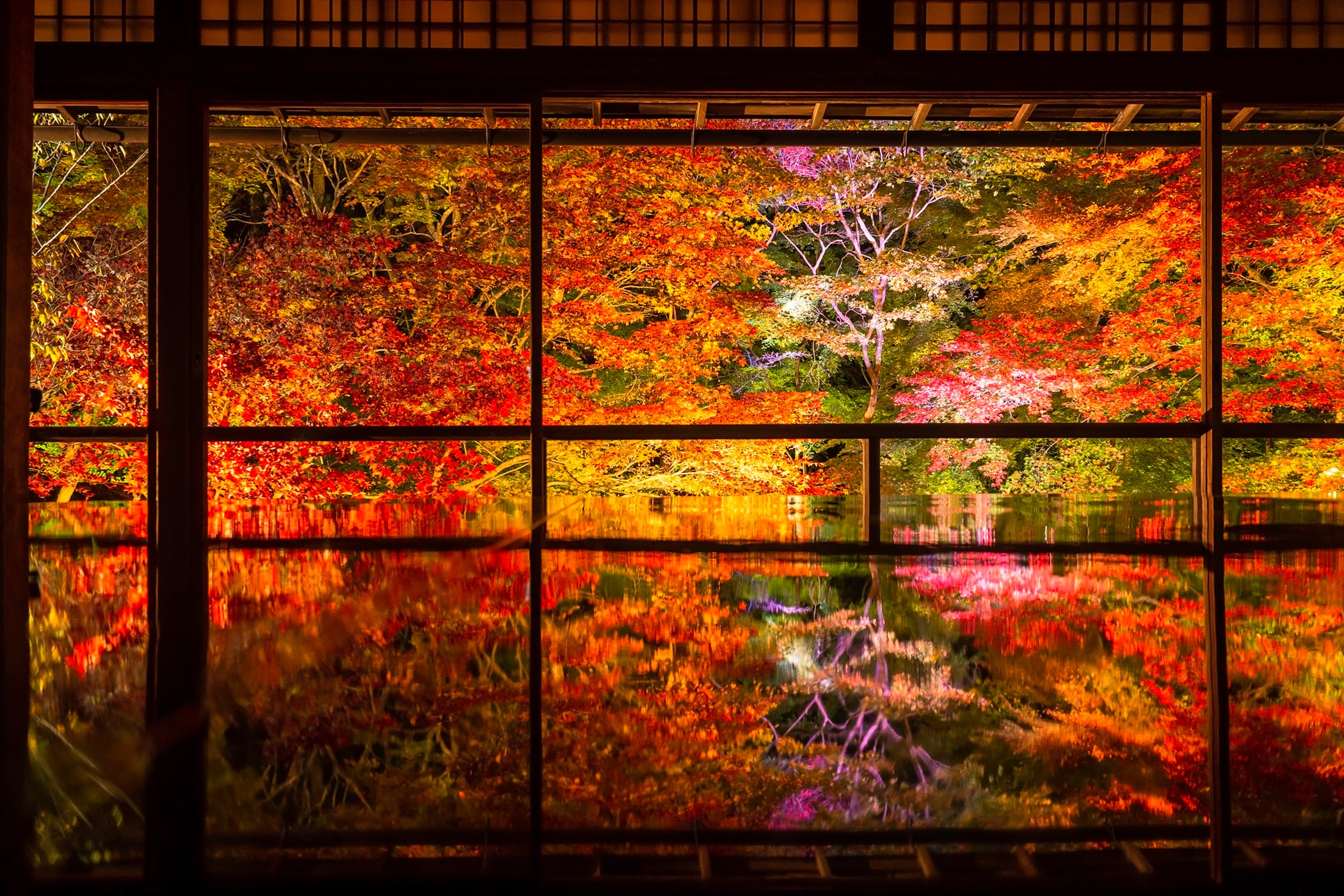 瑠璃光院の紅葉／京都府京都市